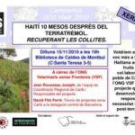 Imatge de complement